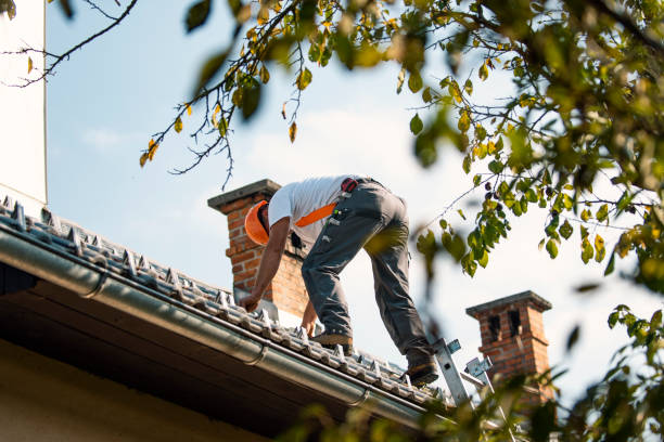 Best Roof Leak Repair  in Bloomington, IL