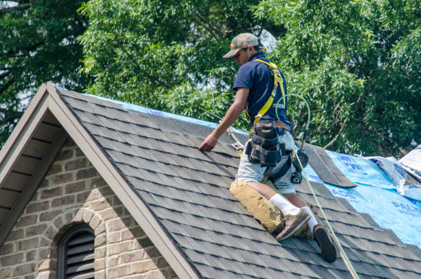 Best Roof Leak Repair  in Bloomington, IL